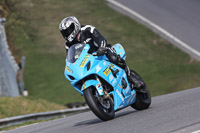 brands-hatch-photographs;brands-no-limits-trackday;cadwell-trackday-photographs;enduro-digital-images;event-digital-images;eventdigitalimages;no-limits-trackdays;peter-wileman-photography;racing-digital-images;trackday-digital-images;trackday-photos