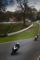 anglesey;brands-hatch;cadwell-park;croft;donington-park;enduro-digital-images;event-digital-images;eventdigitalimages;mallory;no-limits;oulton-park;peter-wileman-photography;racing-digital-images;silverstone;snetterton;trackday-digital-images;trackday-photos;vmcc-banbury-run;welsh-2-day-enduro