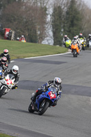 anglesey;brands-hatch;cadwell-park;croft;donington-park;enduro-digital-images;event-digital-images;eventdigitalimages;mallory;no-limits;oulton-park;peter-wileman-photography;racing-digital-images;silverstone;snetterton;trackday-digital-images;trackday-photos;vmcc-banbury-run;welsh-2-day-enduro