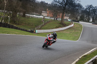 anglesey;brands-hatch;cadwell-park;croft;donington-park;enduro-digital-images;event-digital-images;eventdigitalimages;mallory;no-limits;oulton-park;peter-wileman-photography;racing-digital-images;silverstone;snetterton;trackday-digital-images;trackday-photos;vmcc-banbury-run;welsh-2-day-enduro