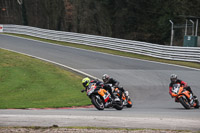 anglesey;brands-hatch;cadwell-park;croft;donington-park;enduro-digital-images;event-digital-images;eventdigitalimages;mallory;no-limits;oulton-park;peter-wileman-photography;racing-digital-images;silverstone;snetterton;trackday-digital-images;trackday-photos;vmcc-banbury-run;welsh-2-day-enduro