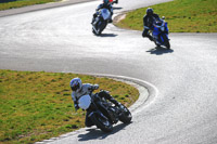 enduro-digital-images;event-digital-images;eventdigitalimages;mallory-park;mallory-park-photographs;mallory-park-trackday;mallory-park-trackday-photographs;no-limits-trackdays;peter-wileman-photography;racing-digital-images;trackday-digital-images;trackday-photos