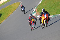 enduro-digital-images;event-digital-images;eventdigitalimages;mallory-park;mallory-park-photographs;mallory-park-trackday;mallory-park-trackday-photographs;no-limits-trackdays;peter-wileman-photography;racing-digital-images;trackday-digital-images;trackday-photos