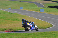 Novice Blue/White Bikes