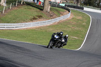 anglesey;brands-hatch;cadwell-park;croft;donington-park;enduro-digital-images;event-digital-images;eventdigitalimages;mallory;no-limits;oulton-park;peter-wileman-photography;racing-digital-images;silverstone;snetterton;trackday-digital-images;trackday-photos;vmcc-banbury-run;welsh-2-day-enduro