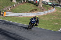 anglesey;brands-hatch;cadwell-park;croft;donington-park;enduro-digital-images;event-digital-images;eventdigitalimages;mallory;no-limits;oulton-park;peter-wileman-photography;racing-digital-images;silverstone;snetterton;trackday-digital-images;trackday-photos;vmcc-banbury-run;welsh-2-day-enduro