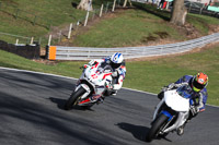 anglesey;brands-hatch;cadwell-park;croft;donington-park;enduro-digital-images;event-digital-images;eventdigitalimages;mallory;no-limits;oulton-park;peter-wileman-photography;racing-digital-images;silverstone;snetterton;trackday-digital-images;trackday-photos;vmcc-banbury-run;welsh-2-day-enduro