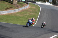 anglesey;brands-hatch;cadwell-park;croft;donington-park;enduro-digital-images;event-digital-images;eventdigitalimages;mallory;no-limits;oulton-park;peter-wileman-photography;racing-digital-images;silverstone;snetterton;trackday-digital-images;trackday-photos;vmcc-banbury-run;welsh-2-day-enduro