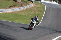 anglesey;brands-hatch;cadwell-park;croft;donington-park;enduro-digital-images;event-digital-images;eventdigitalimages;mallory;no-limits;oulton-park;peter-wileman-photography;racing-digital-images;silverstone;snetterton;trackday-digital-images;trackday-photos;vmcc-banbury-run;welsh-2-day-enduro