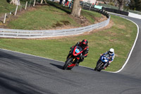 anglesey;brands-hatch;cadwell-park;croft;donington-park;enduro-digital-images;event-digital-images;eventdigitalimages;mallory;no-limits;oulton-park;peter-wileman-photography;racing-digital-images;silverstone;snetterton;trackday-digital-images;trackday-photos;vmcc-banbury-run;welsh-2-day-enduro