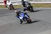 anglesey;brands-hatch;cadwell-park;croft;donington-park;enduro-digital-images;event-digital-images;eventdigitalimages;mallory;no-limits;oulton-park;peter-wileman-photography;racing-digital-images;silverstone;snetterton;trackday-digital-images;trackday-photos;vmcc-banbury-run;welsh-2-day-enduro