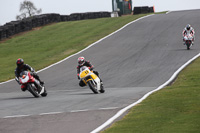 anglesey;brands-hatch;cadwell-park;croft;donington-park;enduro-digital-images;event-digital-images;eventdigitalimages;mallory;no-limits;oulton-park;peter-wileman-photography;racing-digital-images;silverstone;snetterton;trackday-digital-images;trackday-photos;vmcc-banbury-run;welsh-2-day-enduro
