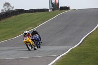 anglesey;brands-hatch;cadwell-park;croft;donington-park;enduro-digital-images;event-digital-images;eventdigitalimages;mallory;no-limits;oulton-park;peter-wileman-photography;racing-digital-images;silverstone;snetterton;trackday-digital-images;trackday-photos;vmcc-banbury-run;welsh-2-day-enduro