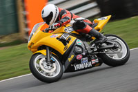 anglesey;brands-hatch;cadwell-park;croft;donington-park;enduro-digital-images;event-digital-images;eventdigitalimages;mallory;no-limits;oulton-park;peter-wileman-photography;racing-digital-images;silverstone;snetterton;trackday-digital-images;trackday-photos;vmcc-banbury-run;welsh-2-day-enduro