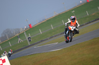 Endurance Race Multicolour Bikes