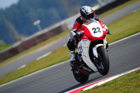 Newcomer 1000cc Racing Multicolour Bikes
