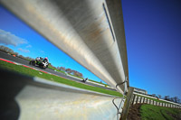 enduro-digital-images;event-digital-images;eventdigitalimages;no-limits-trackdays;oulton-no-limits-trackday;oulton-park-cheshire;oulton-trackday-photographs;peter-wileman-photography;racing-digital-images;trackday-digital-images;trackday-photos