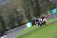 enduro-digital-images;event-digital-images;eventdigitalimages;no-limits-trackdays;oulton-no-limits-trackday;oulton-park-cheshire;oulton-trackday-photographs;peter-wileman-photography;racing-digital-images;trackday-digital-images;trackday-photos