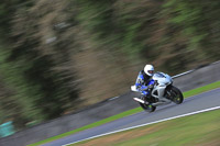 enduro-digital-images;event-digital-images;eventdigitalimages;no-limits-trackdays;oulton-no-limits-trackday;oulton-park-cheshire;oulton-trackday-photographs;peter-wileman-photography;racing-digital-images;trackday-digital-images;trackday-photos
