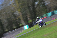 enduro-digital-images;event-digital-images;eventdigitalimages;no-limits-trackdays;oulton-no-limits-trackday;oulton-park-cheshire;oulton-trackday-photographs;peter-wileman-photography;racing-digital-images;trackday-digital-images;trackday-photos