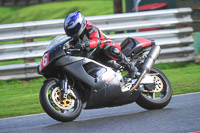 anglesey;brands-hatch;cadwell-park;croft;donington-park;enduro-digital-images;event-digital-images;eventdigitalimages;mallory;no-limits;oulton-park;peter-wileman-photography;racing-digital-images;silverstone;snetterton;trackday-digital-images;trackday-photos;vmcc-banbury-run;welsh-2-day-enduro