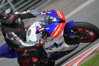 anglesey;brands-hatch;cadwell-park;croft;donington-park;enduro-digital-images;event-digital-images;eventdigitalimages;mallory;no-limits;oulton-park;peter-wileman-photography;racing-digital-images;silverstone;snetterton;trackday-digital-images;trackday-photos;vmcc-banbury-run;welsh-2-day-enduro