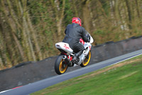 anglesey;brands-hatch;cadwell-park;croft;donington-park;enduro-digital-images;event-digital-images;eventdigitalimages;mallory;no-limits;oulton-park;peter-wileman-photography;racing-digital-images;silverstone;snetterton;trackday-digital-images;trackday-photos;vmcc-banbury-run;welsh-2-day-enduro