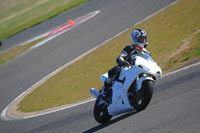 anglesey-photographs;bedford-no-limits-trackday;bedford-trackday-photographs;enduro-digital-images;event-digital-images;eventdigitalimages;no-limits-trackdays;peter-wileman-photography;racing-digital-images;trac-mon;trackday-digital-images;trackday-photos;ty-croes