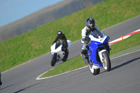 anglesey-photographs;bedford-no-limits-trackday;bedford-trackday-photographs;enduro-digital-images;event-digital-images;eventdigitalimages;no-limits-trackdays;peter-wileman-photography;racing-digital-images;trac-mon;trackday-digital-images;trackday-photos;ty-croes