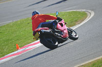 anglesey-photographs;bedford-no-limits-trackday;bedford-trackday-photographs;enduro-digital-images;event-digital-images;eventdigitalimages;no-limits-trackdays;peter-wileman-photography;racing-digital-images;trac-mon;trackday-digital-images;trackday-photos;ty-croes