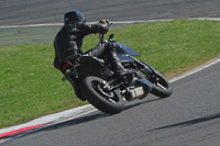 anglesey-photographs;bedford-no-limits-trackday;bedford-trackday-photographs;enduro-digital-images;event-digital-images;eventdigitalimages;no-limits-trackdays;peter-wileman-photography;racing-digital-images;trac-mon;trackday-digital-images;trackday-photos;ty-croes