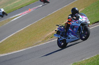 anglesey-photographs;bedford-no-limits-trackday;bedford-trackday-photographs;enduro-digital-images;event-digital-images;eventdigitalimages;no-limits-trackdays;peter-wileman-photography;racing-digital-images;trac-mon;trackday-digital-images;trackday-photos;ty-croes