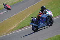 anglesey-photographs;bedford-no-limits-trackday;bedford-trackday-photographs;enduro-digital-images;event-digital-images;eventdigitalimages;no-limits-trackdays;peter-wileman-photography;racing-digital-images;trac-mon;trackday-digital-images;trackday-photos;ty-croes