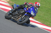 Novice Blue/White Bikes