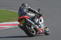 anglesey-photographs;bedford-no-limits-trackday;bedford-trackday-photographs;enduro-digital-images;event-digital-images;eventdigitalimages;no-limits-trackdays;peter-wileman-photography;racing-digital-images;trac-mon;trackday-digital-images;trackday-photos;ty-croes