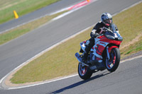 anglesey-photographs;bedford-no-limits-trackday;bedford-trackday-photographs;enduro-digital-images;event-digital-images;eventdigitalimages;no-limits-trackdays;peter-wileman-photography;racing-digital-images;trac-mon;trackday-digital-images;trackday-photos;ty-croes