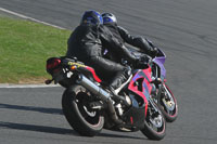 anglesey-photographs;bedford-no-limits-trackday;bedford-trackday-photographs;enduro-digital-images;event-digital-images;eventdigitalimages;no-limits-trackdays;peter-wileman-photography;racing-digital-images;trac-mon;trackday-digital-images;trackday-photos;ty-croes