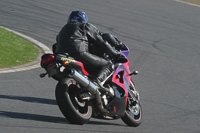 anglesey-photographs;bedford-no-limits-trackday;bedford-trackday-photographs;enduro-digital-images;event-digital-images;eventdigitalimages;no-limits-trackdays;peter-wileman-photography;racing-digital-images;trac-mon;trackday-digital-images;trackday-photos;ty-croes