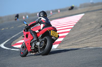 anglesey-photographs;bedford-no-limits-trackday;bedford-trackday-photographs;enduro-digital-images;event-digital-images;eventdigitalimages;no-limits-trackdays;peter-wileman-photography;racing-digital-images;trac-mon;trackday-digital-images;trackday-photos;ty-croes