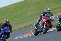 anglesey-photographs;bedford-no-limits-trackday;bedford-trackday-photographs;enduro-digital-images;event-digital-images;eventdigitalimages;no-limits-trackdays;peter-wileman-photography;racing-digital-images;trac-mon;trackday-digital-images;trackday-photos;ty-croes