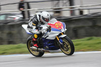 anglesey;brands-hatch;cadwell-park;croft;donington-park;enduro-digital-images;event-digital-images;eventdigitalimages;mallory;no-limits;oulton-park;peter-wileman-photography;racing-digital-images;silverstone;snetterton;trackday-digital-images;trackday-photos;welsh-2-day-enduro