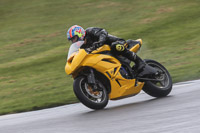 anglesey;brands-hatch;cadwell-park;croft;donington-park;enduro-digital-images;event-digital-images;eventdigitalimages;mallory;no-limits;oulton-park;peter-wileman-photography;racing-digital-images;silverstone;snetterton;trackday-digital-images;trackday-photos;welsh-2-day-enduro