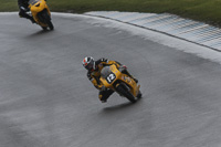 anglesey;brands-hatch;cadwell-park;croft;donington-park;enduro-digital-images;event-digital-images;eventdigitalimages;mallory;no-limits;oulton-park;peter-wileman-photography;racing-digital-images;silverstone;snetterton;trackday-digital-images;trackday-photos;welsh-2-day-enduro