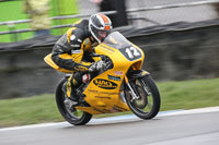 anglesey;brands-hatch;cadwell-park;croft;donington-park;enduro-digital-images;event-digital-images;eventdigitalimages;mallory;no-limits;oulton-park;peter-wileman-photography;racing-digital-images;silverstone;snetterton;trackday-digital-images;trackday-photos;welsh-2-day-enduro