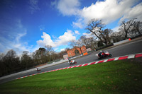 anglesey;brands-hatch;cadwell-park;croft;donington-park;enduro-digital-images;event-digital-images;eventdigitalimages;mallory;no-limits;oulton-park;peter-wileman-photography;racing-digital-images;silverstone;snetterton;trackday-digital-images;trackday-photos;vmcc-banbury-run;welsh-2-day-enduro
