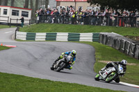 Fast Multicolour Bikes