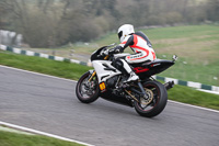 Evening Fast/Inter Multicolour Bikes