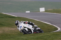 Evening Fast/Inter Multicolour Bikes