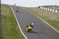 Fast Green/Yellow Bikes