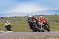 anglesey-no-limits-trackday;anglesey-photographs;anglesey-trackday-photographs;enduro-digital-images;event-digital-images;eventdigitalimages;no-limits-trackdays;peter-wileman-photography;racing-digital-images;trac-mon;trackday-digital-images;trackday-photos;ty-croes